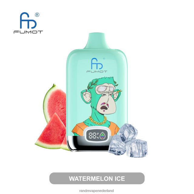 watermeloen ijs