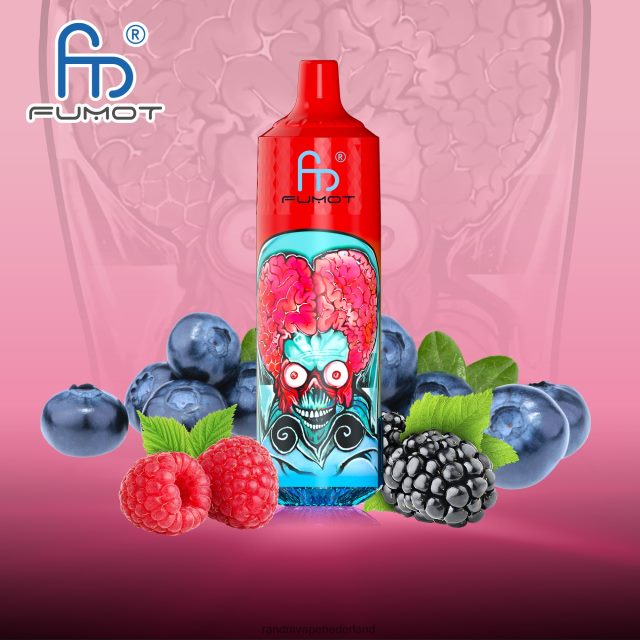 RandM Vape Nederland - Fumot RandM Tornado 9000 pro vape-apparaat met batterij en ejuice-display versie 1 V8J408191 bosbes zure framboos